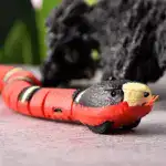 Smart Sensing Snake
