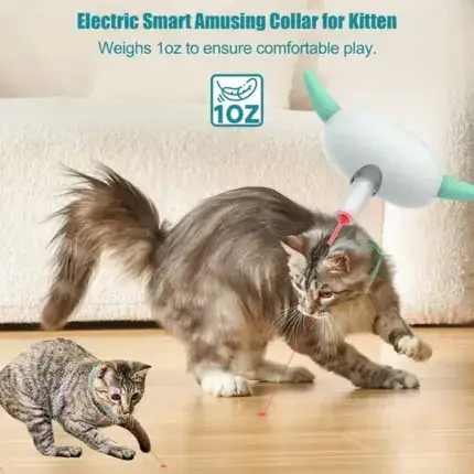 Electric Smart Amusing Collar for Cat
