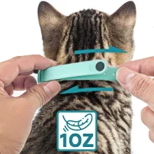 Comfortable Cat Collar