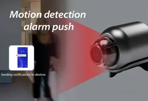 Motion detection camera