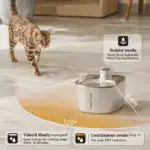 Wireless Fountain