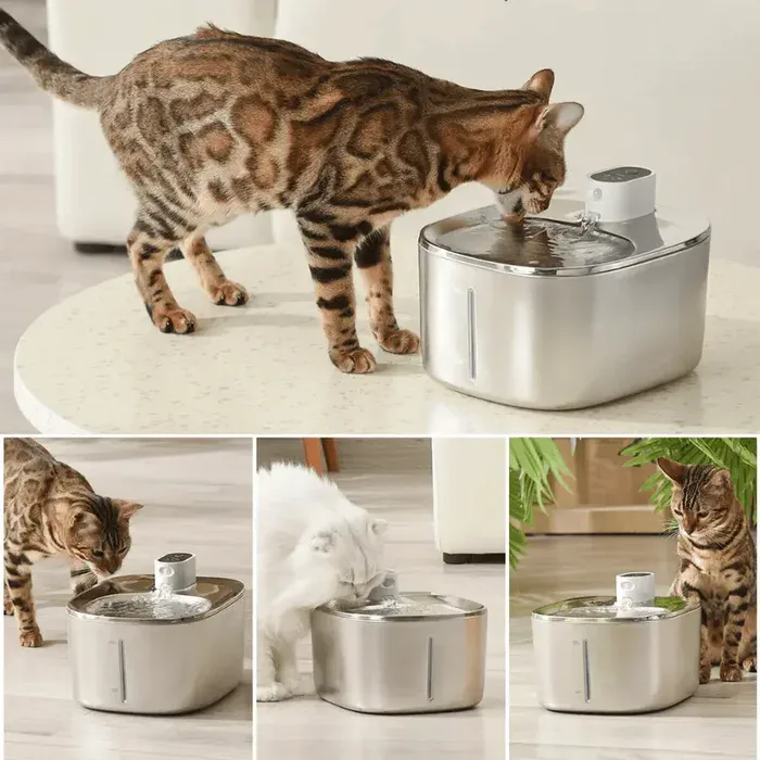 Wireless KittySpout