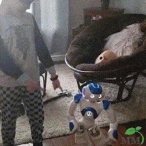 Smart Robot