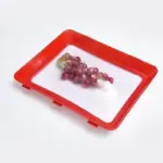 Environmentally Friendly Design - Reusable Food Preserving Tray - Image 16